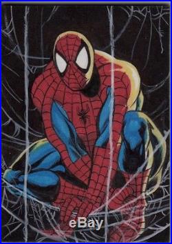 2016 Marvel Masterpieces Sketch SPIDER-MAN Matt Hebb (After Jusko MM 1992) WOW