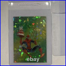 Iconic Prism Comic Images SpiderMan ll 30th Anniversary 1962-1992 Collectors Set