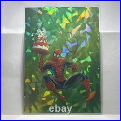 Iconic Prism Comic Images SpiderMan ll 30th Anniversary 1962-1992 Collectors Set